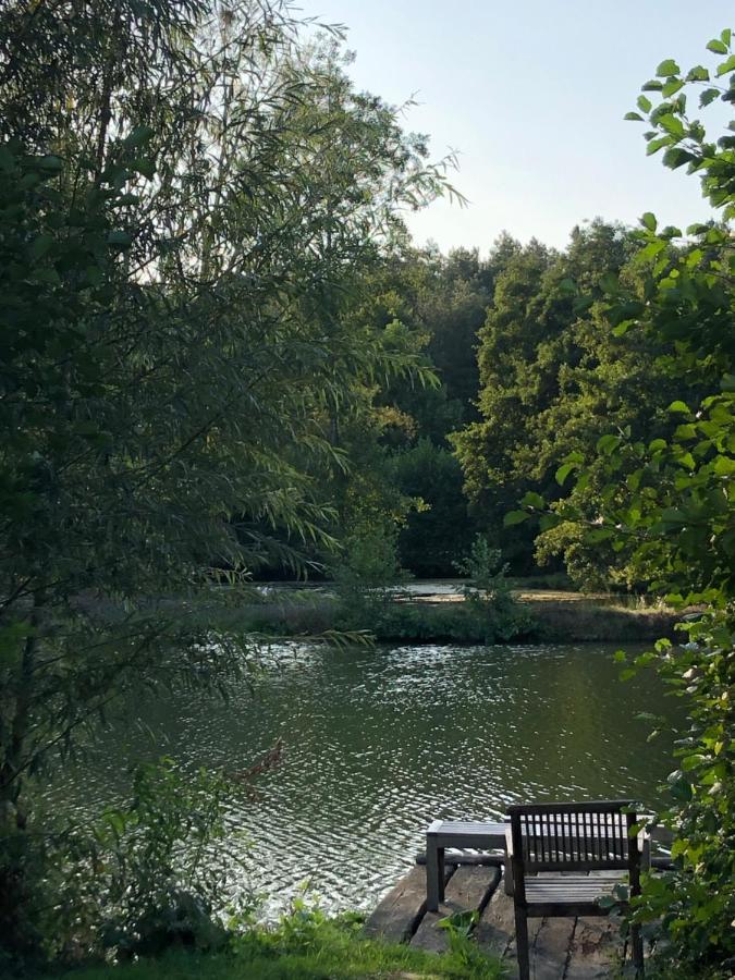 La Francoisiere Bed and Breakfast Loigné-sur-Mayenne Exteriör bild