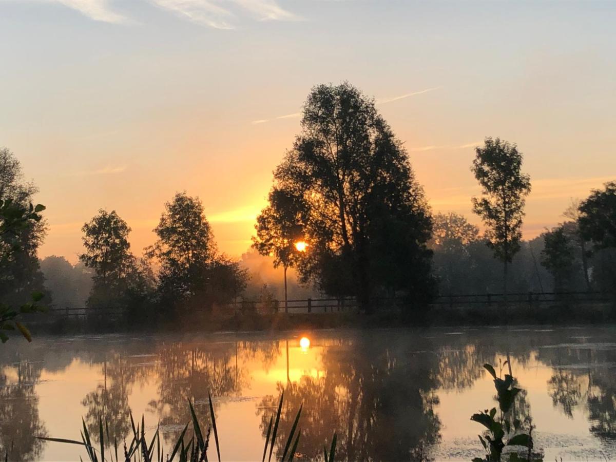 La Francoisiere Bed and Breakfast Loigné-sur-Mayenne Exteriör bild