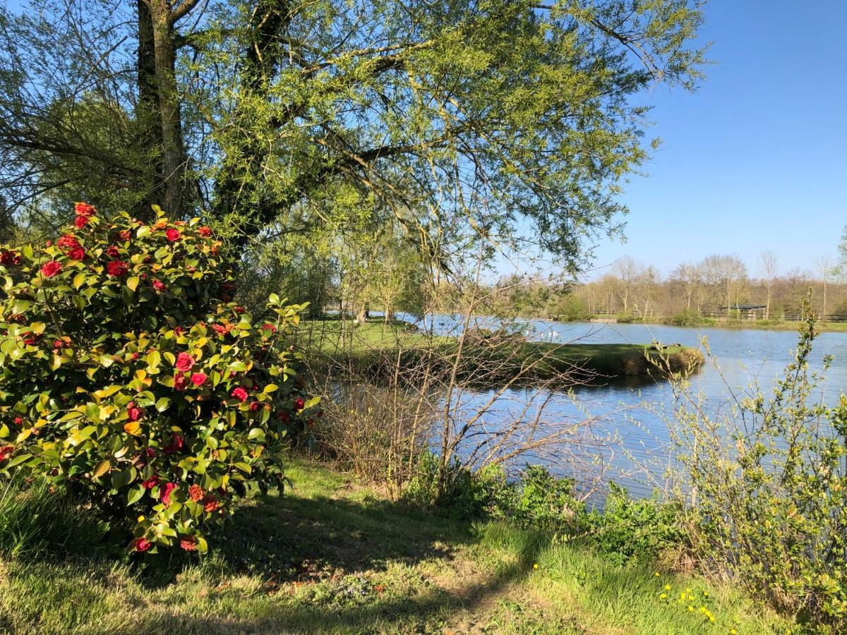 La Francoisiere Bed and Breakfast Loigné-sur-Mayenne Exteriör bild