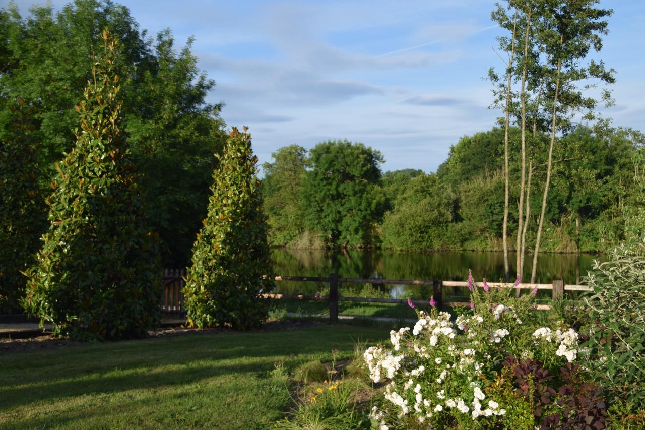 La Francoisiere Bed and Breakfast Loigné-sur-Mayenne Exteriör bild